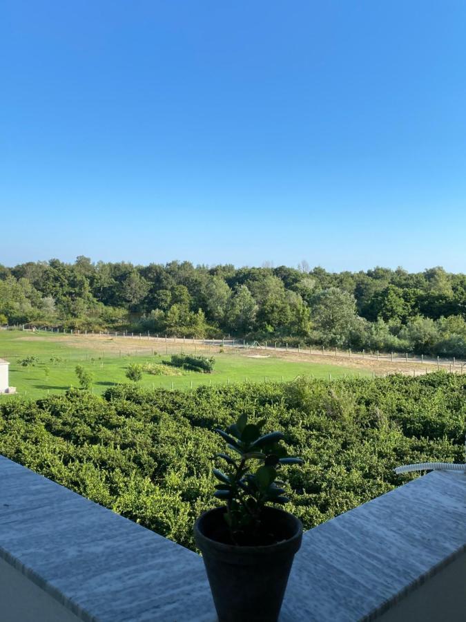 Apartments Catalic Ulcinj Kültér fotó